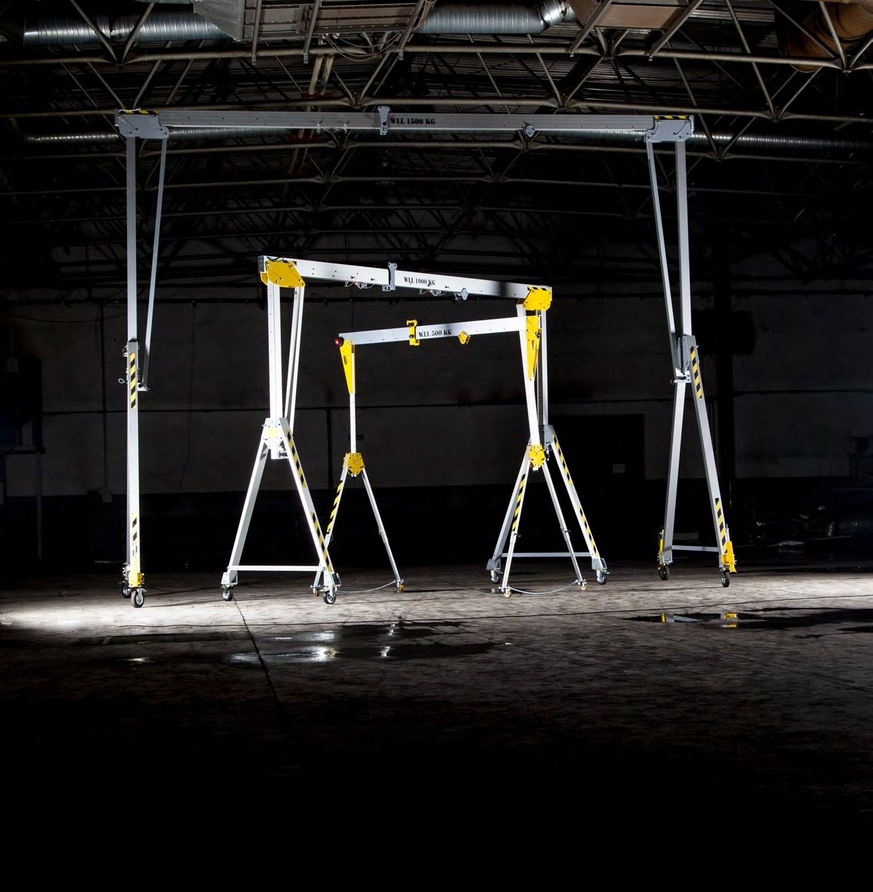 Standard series aluminium gantry crane 3,000 kg (ASB) — photo 2
